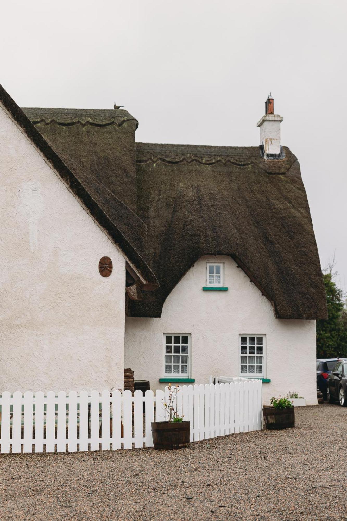 Rosehill House Villa Dungannon Dış mekan fotoğraf